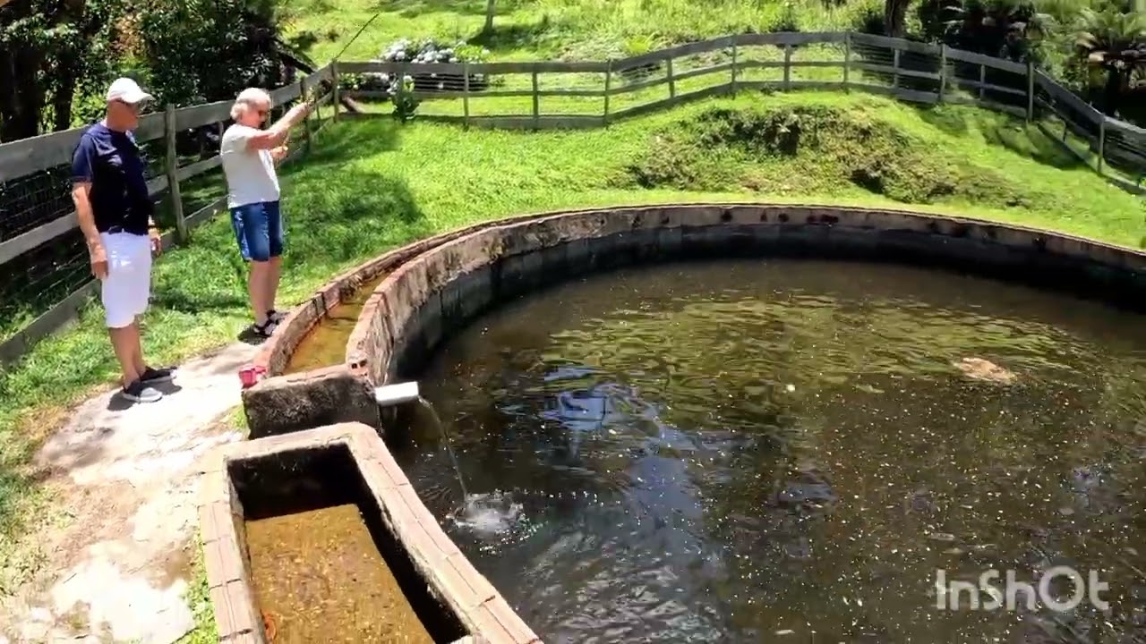 Visitando o trutario nossa senhora Aparecida em Bateias de cima.