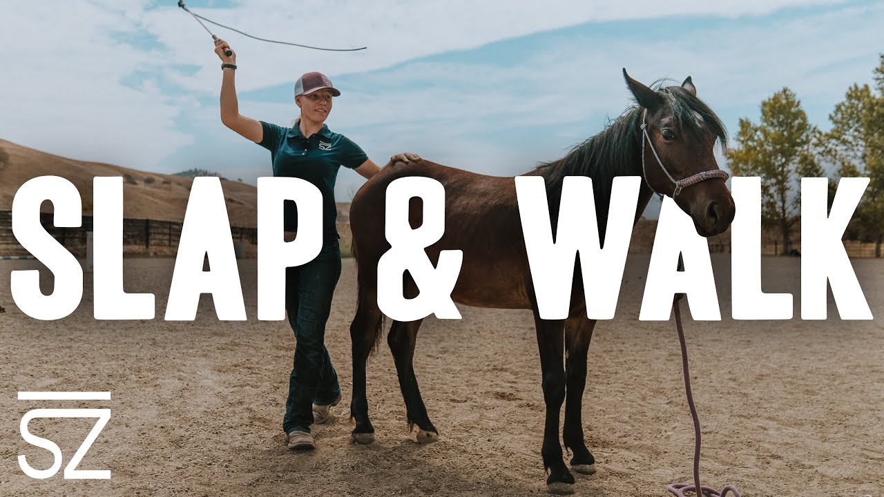 Teaching Your Horse the Slap & Walk Exercise