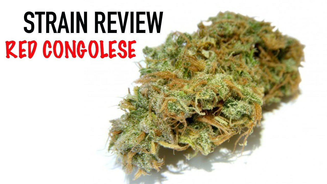 RED CONGOLESE STRAIN REVIEW (HD)