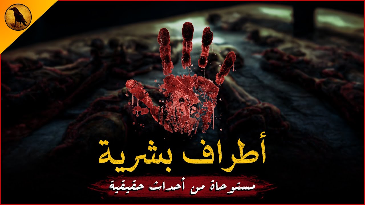 مستوحاة من أحداث حقيقية لطبيب تشريح يجد نفسه أمام أطراف بشرية غريبة مجهولة المصدر ! | الراوي