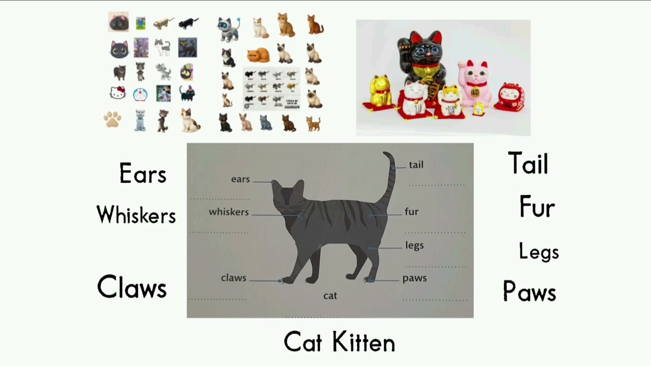 VOCABULARY KIDS COMPLATION PART 27 LESSON 27 