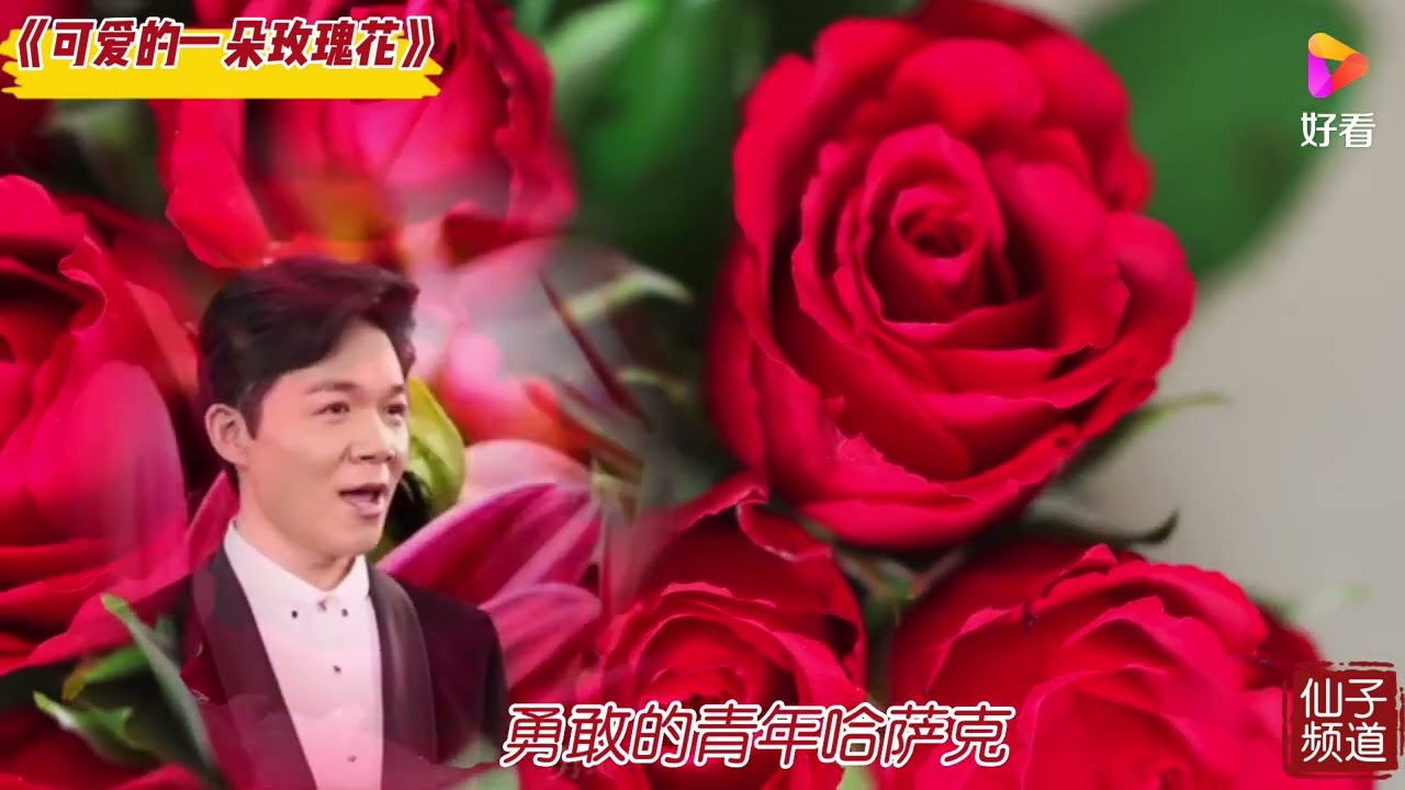 《可爱的一朵玫瑰花》王传越 (哈族民歌)