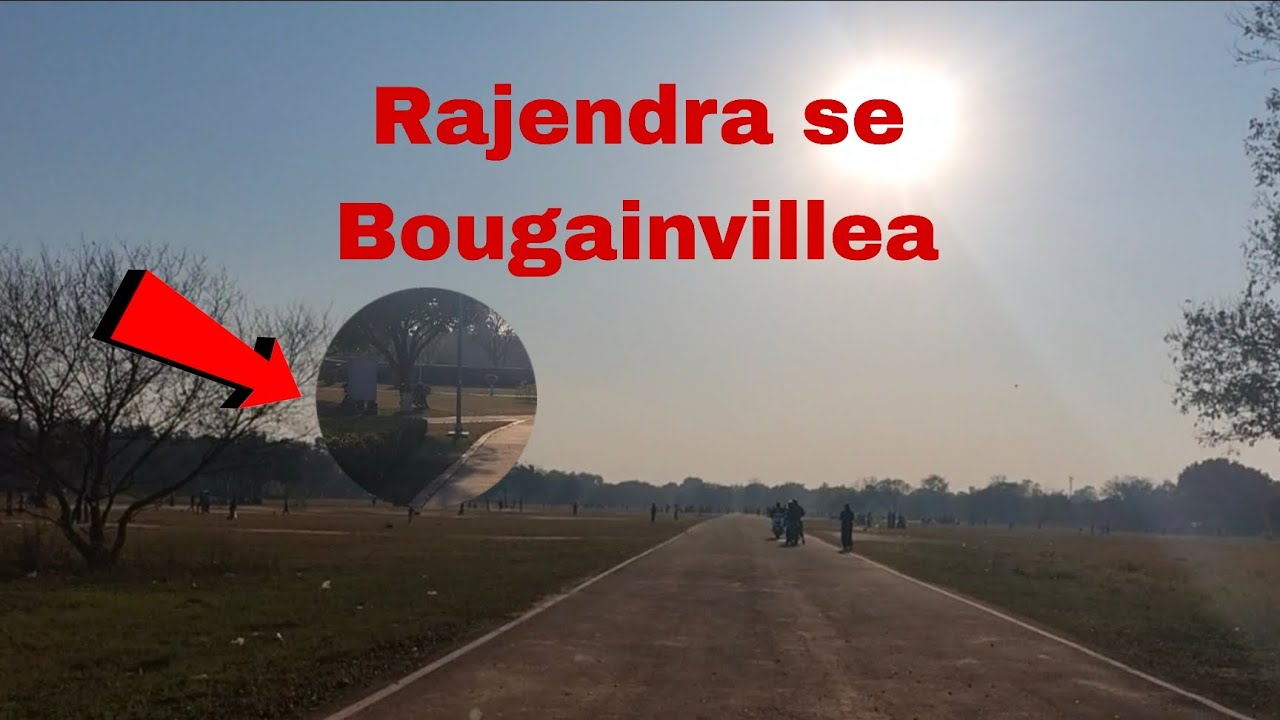 Rajendra se Bougainvillea 🛵    