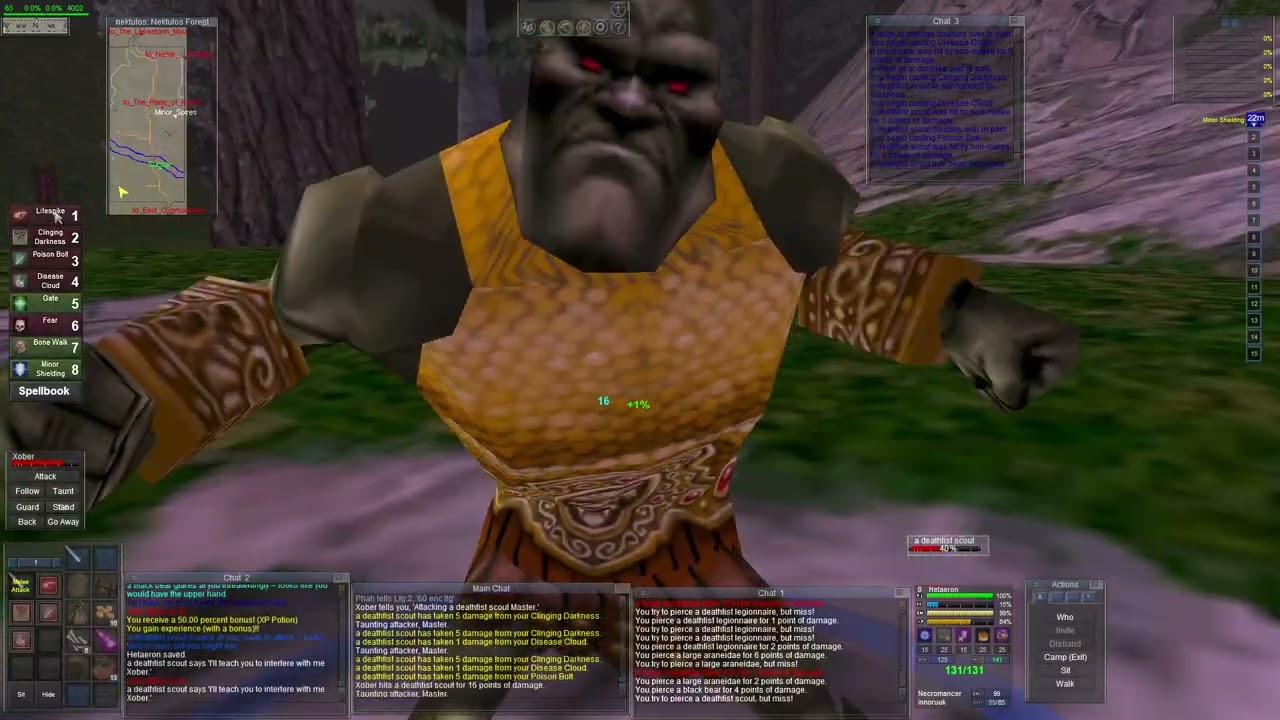 Everquest Classic: Dark Elf Necromancer. SSF on Project Quarm E9
