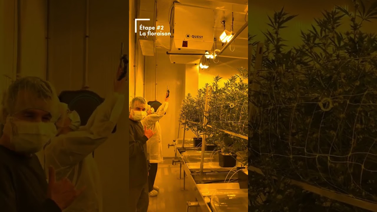 Bienvenue chez nous!🌱