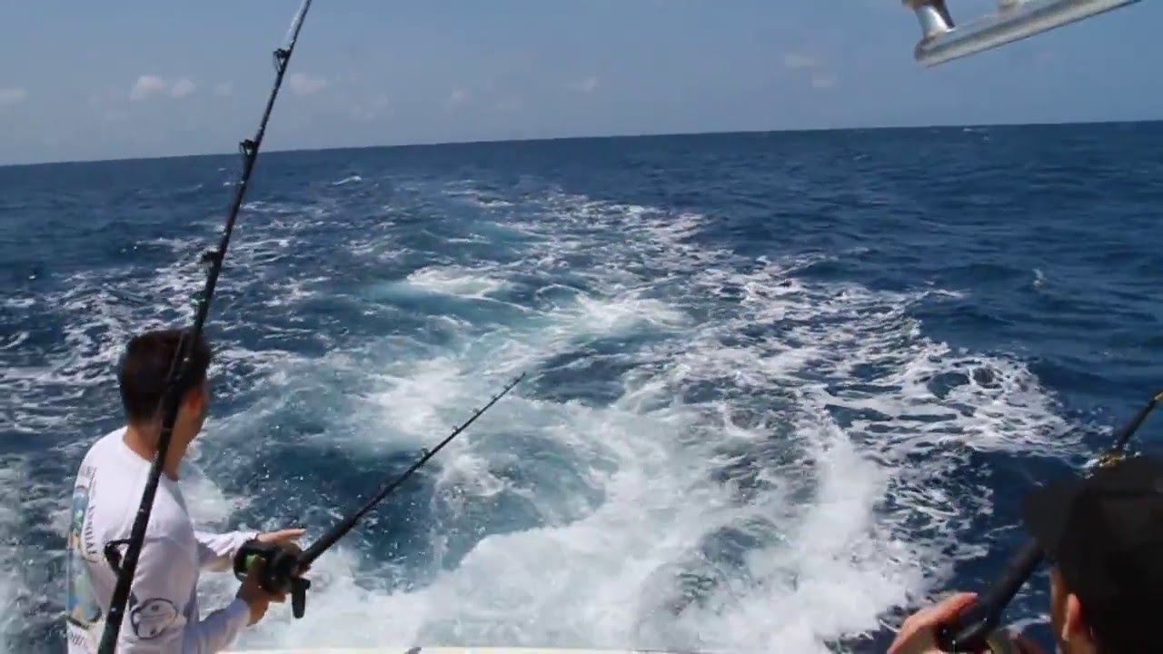 Blue Marlin hook up #1 - Blue marlin chases teasers and hooks-up - Fishing in Curacao