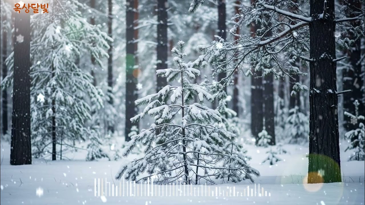 ❄️playlist ㅣ하루를 기분좋게 만들어주는 감성 카페음악ㅣ드라이브할때 듣기편안한 음악