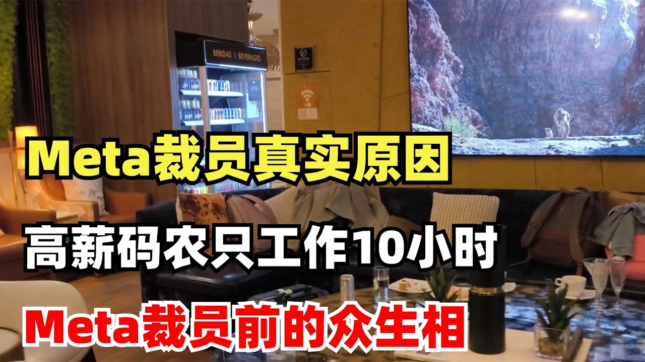 Meta裁员的真实原因，美国码农五十万美元年薪每周只工作10小时，Meta裁员前的众生相，Meta只裁20%，为啥这么焦虑？50%人在天堂，50%人在地狱