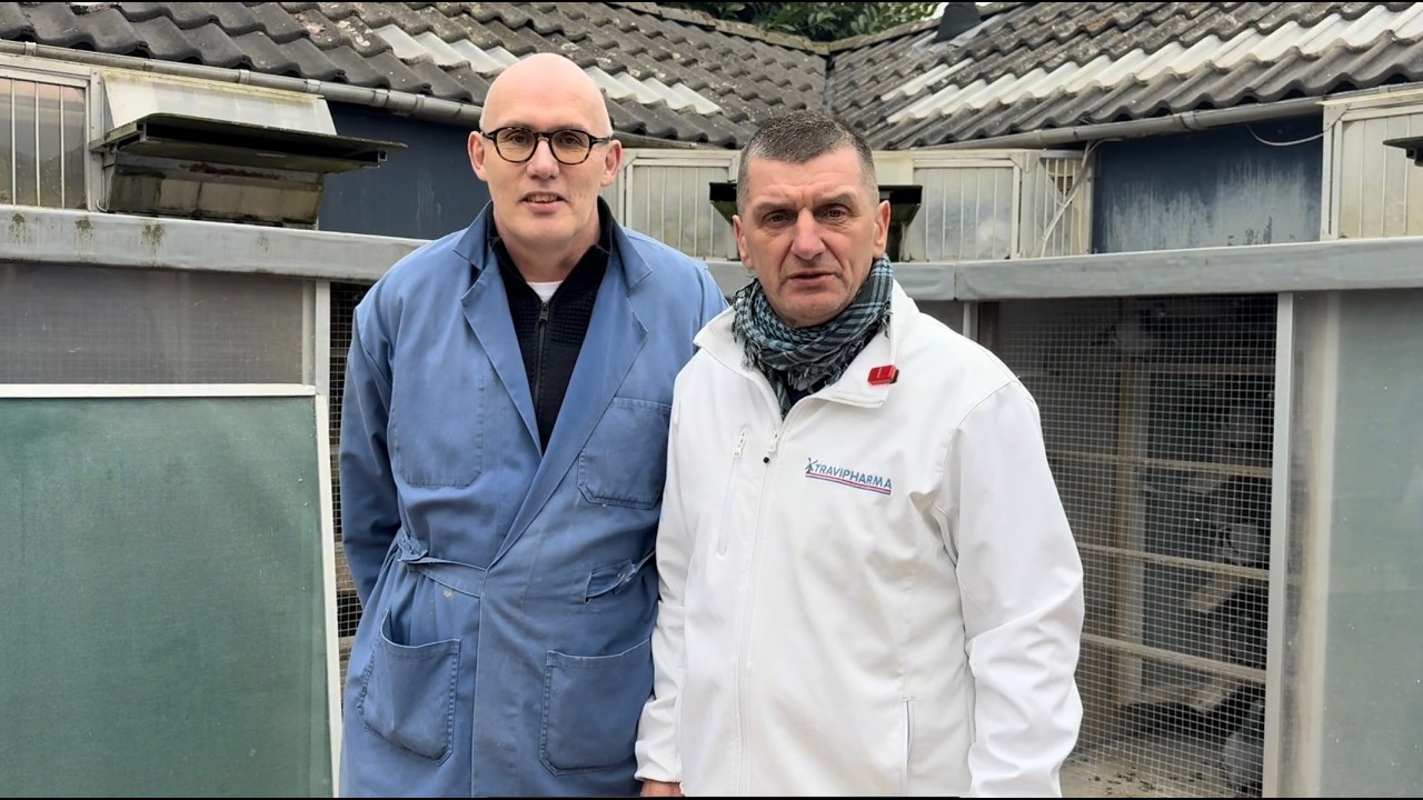 Wout Spierings, czyli król Midas w gołębnikach rozpłodowych i lotowych. Poznajcie legendę Holandii!