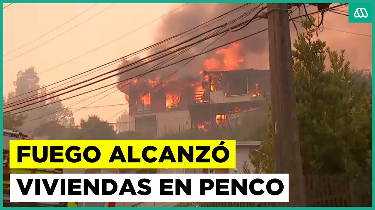 Devastador incendio forestal en el BioBío: Fuego alcanzó viviendas en Penco