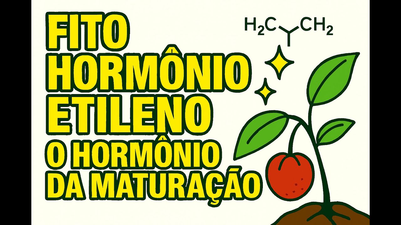Fito Hormônios – Etileno: O Hormônio da Maturação