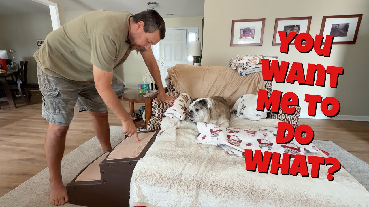 Reuben the Bulldog: Stairmaster