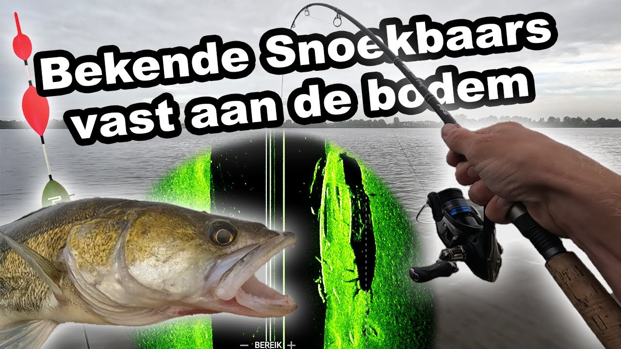 Snoekbaars zwemt zich vast aan de bodem. 😑😒 (Pennen op m'n thuiswater)