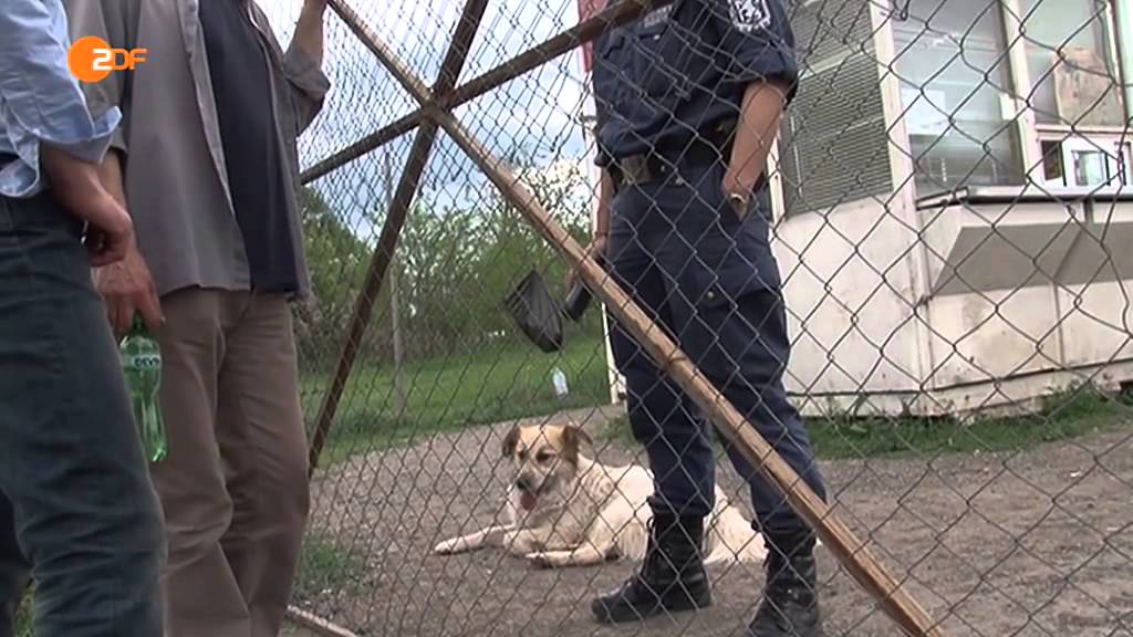 Frontal 21 - 05.05.2015 - Abschiebung nach Bulgarien &ndash; Fl&uuml;chtlinge f&uuml;rchten Folter
