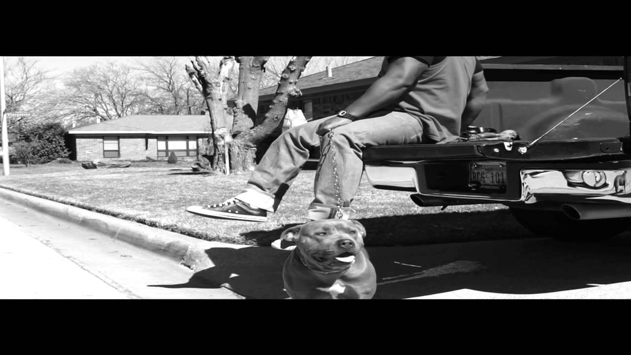 KoolBRZ - More Than Music (teaser/trailer)
