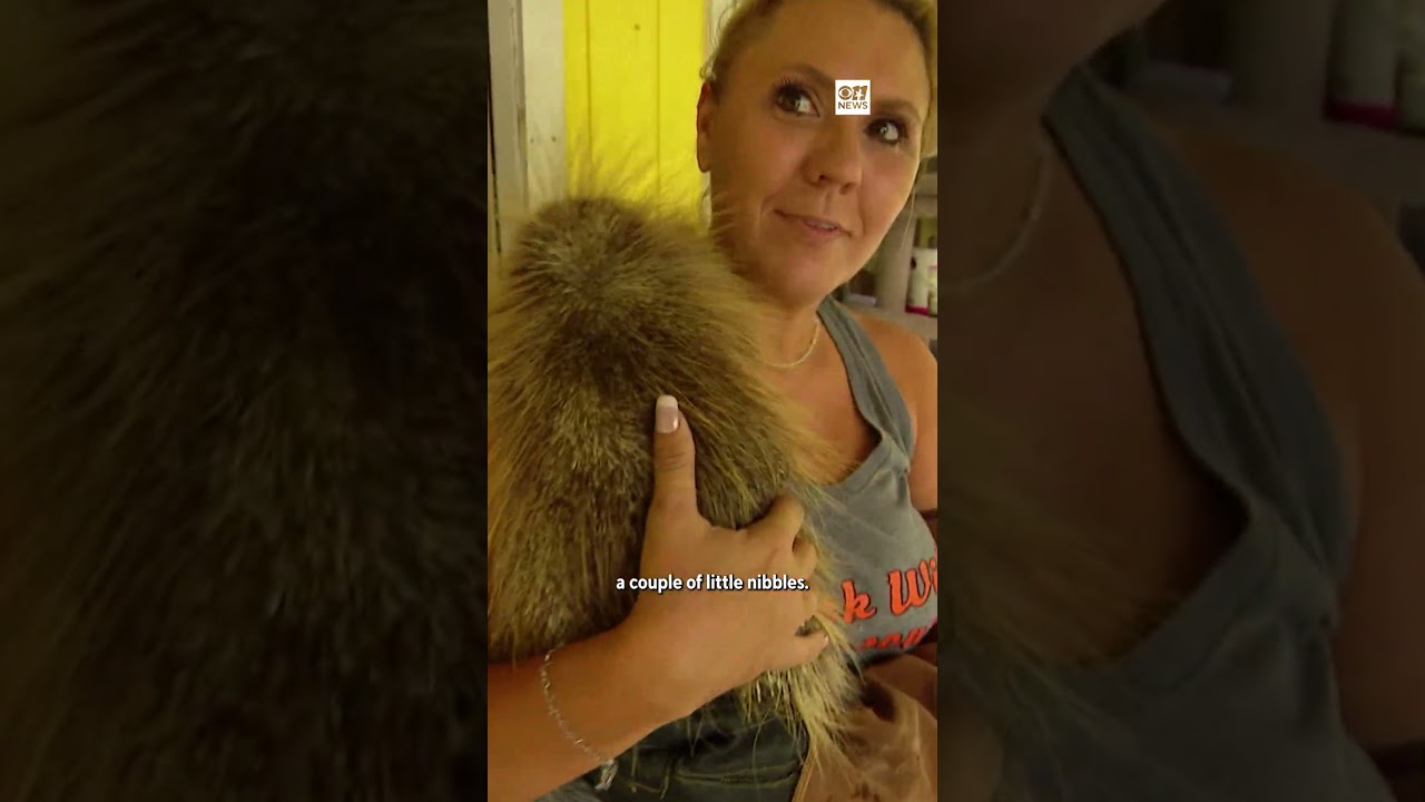 Hill Country wildlife rescuer braves raging floodwaters to save every animal on her property