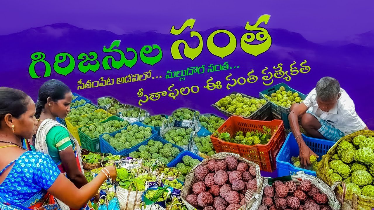 Seethampeta Tribal Market in Andhrapradesh//సీతంపేట గిరిజనులు సంత//Indian Tribal Market//seethampeta