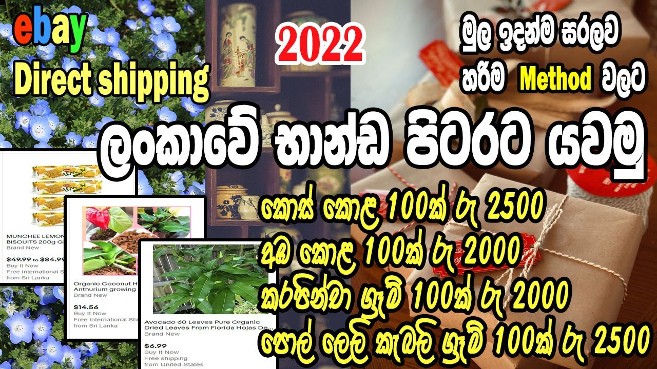 EBAY DIRECT SHIPPING I ලංකාවේ භාන්ඩ පිටරට යවමු I EBAY DROP SHIPPING I BUSINESS IDEAS I EBAY SELLING
