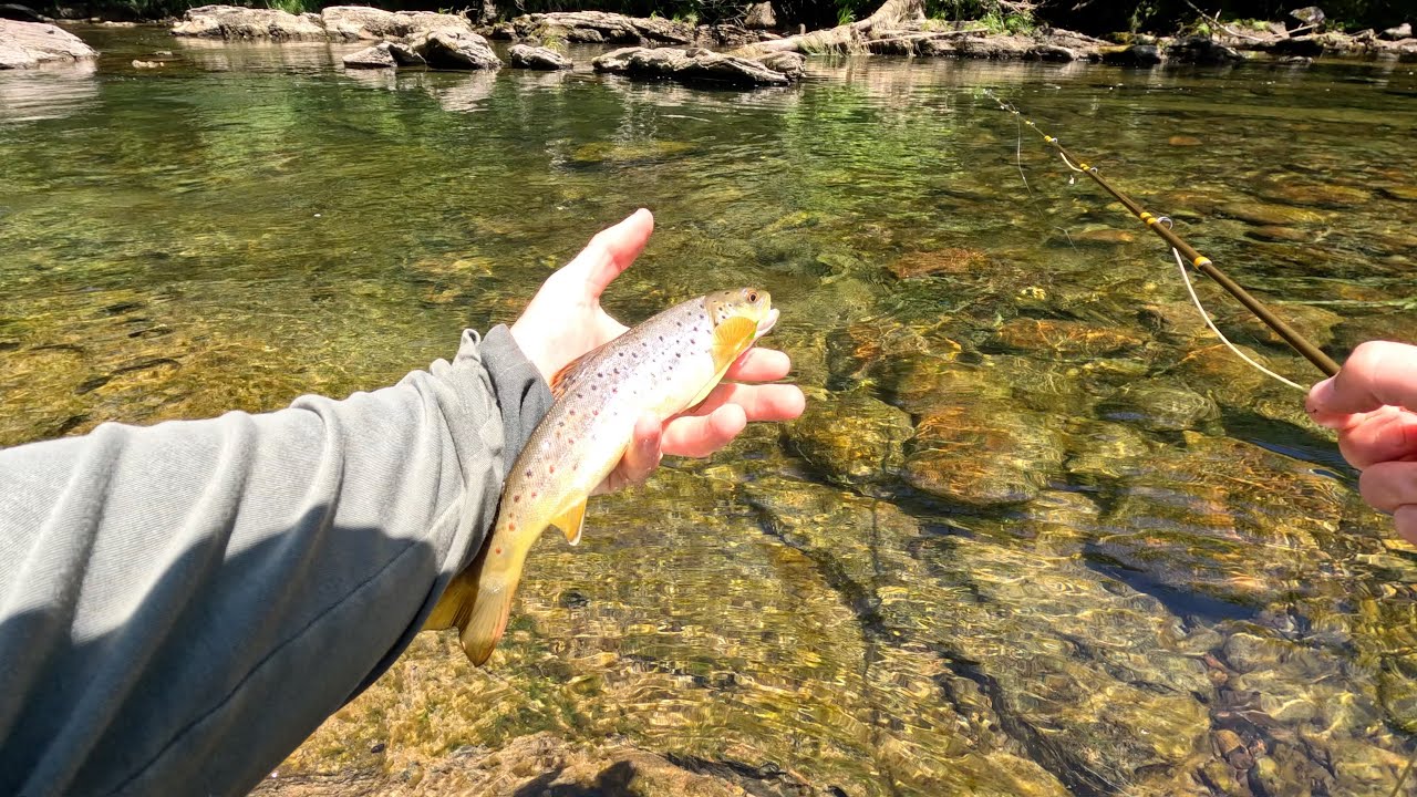 Fly Fishing Adventure on the South Holston River – East Tennessee’s Hidden Gem!