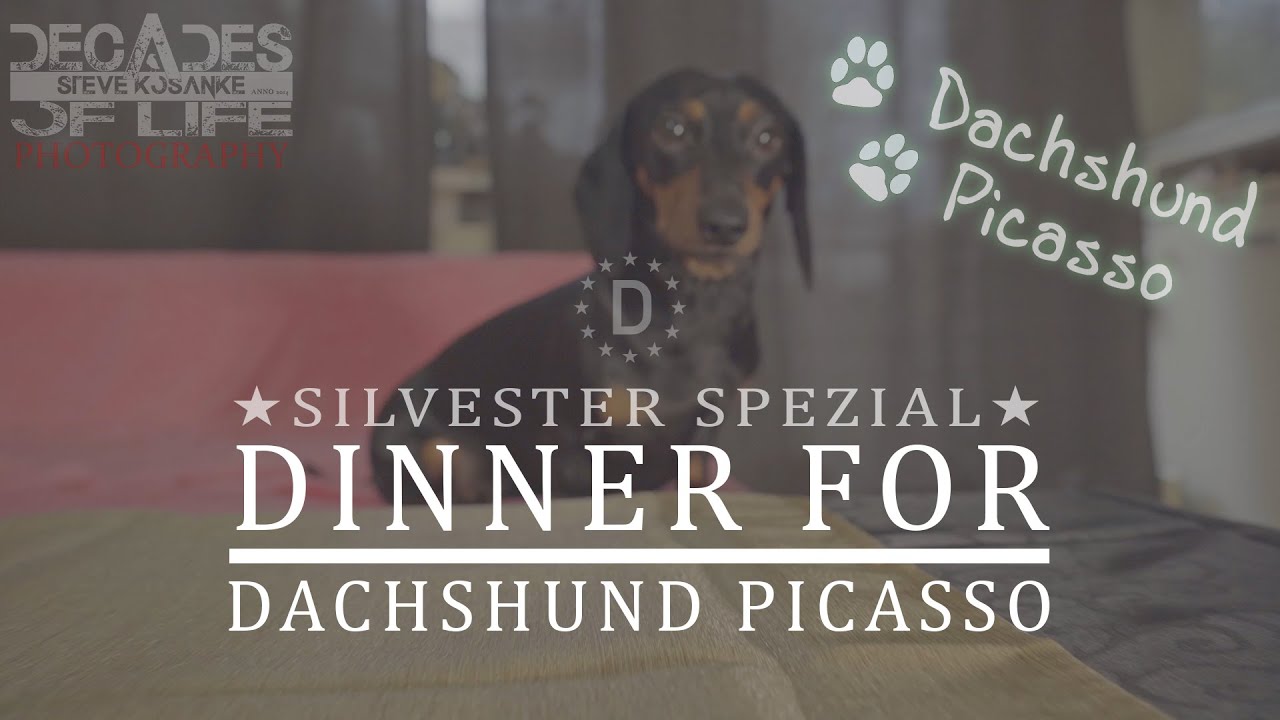 Dinner For Dachshund Picasso