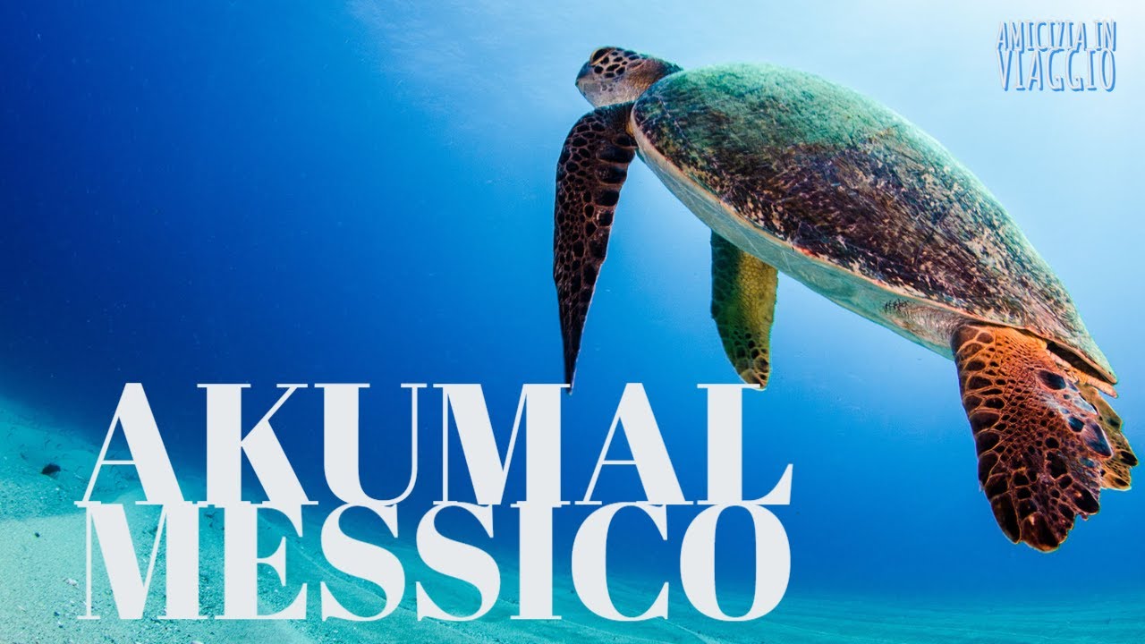 Akumal: un paradiso tra le tartarughe