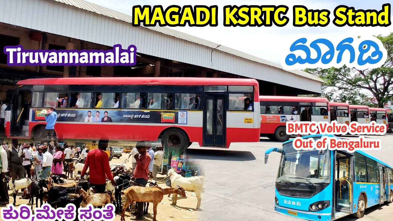 ಮಾಗಡಿ MAGADI KSRTC Bus Stand | Sheep,Goat Market | Ramanagara, Tumakuru, Kunigal #bus #volvo #ksrtc