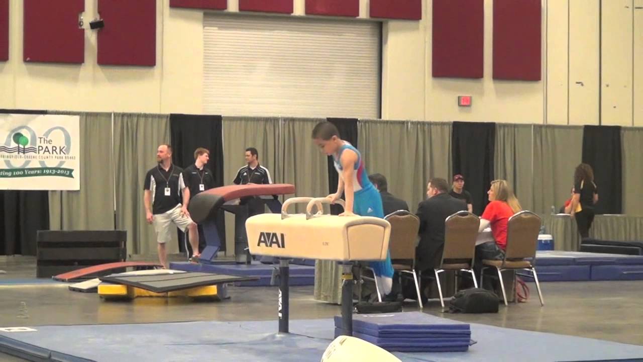 Asher Hong - 2013 Region 3 Men's Gymnastics Championships