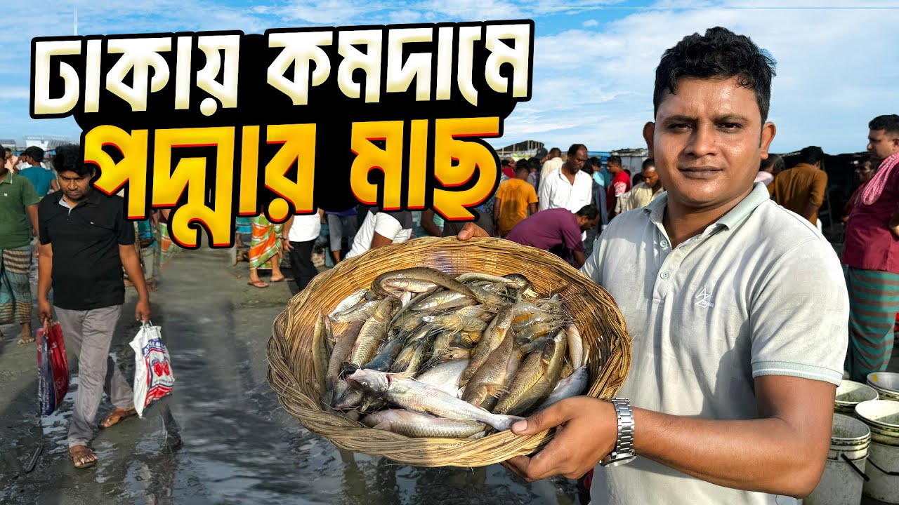 ঢাকার মৈনট ঘাট থেকে কমদামে পদ্মার তাজা মাছ কিনবেন যেভাবে । Dhaka Monoit Ghat