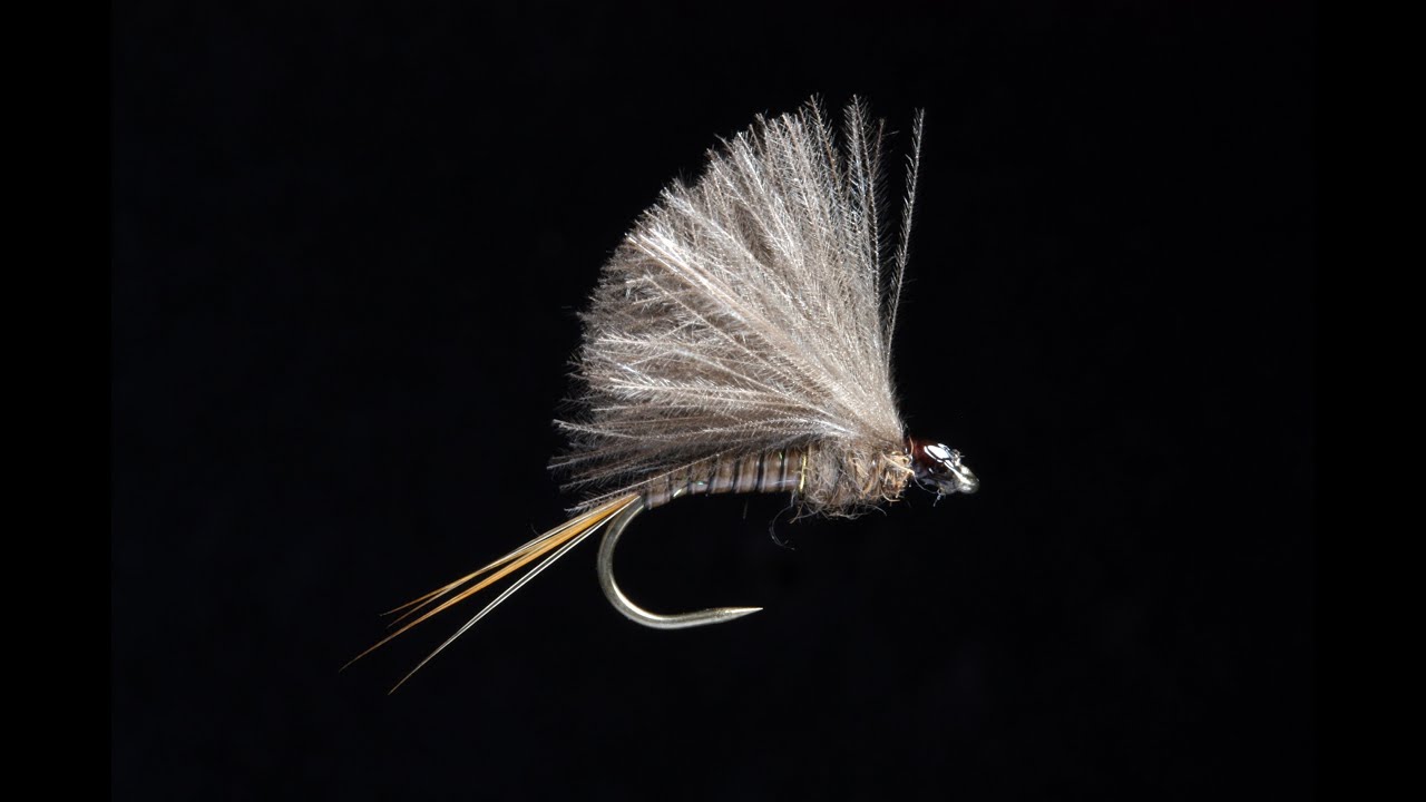 QUILL F FLY