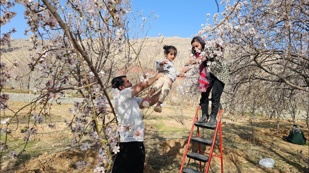 Eidi's expulsion by Fatima with the help of Musa