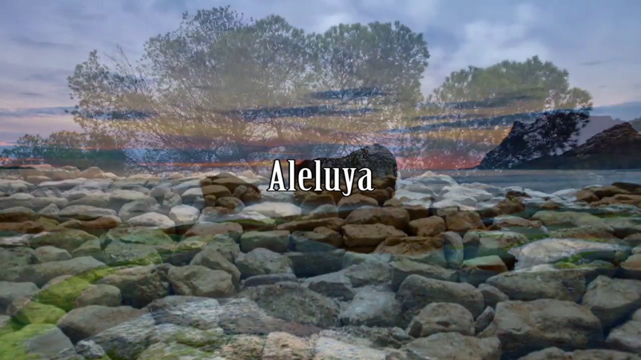 Agnus dei - Aleluya IURD