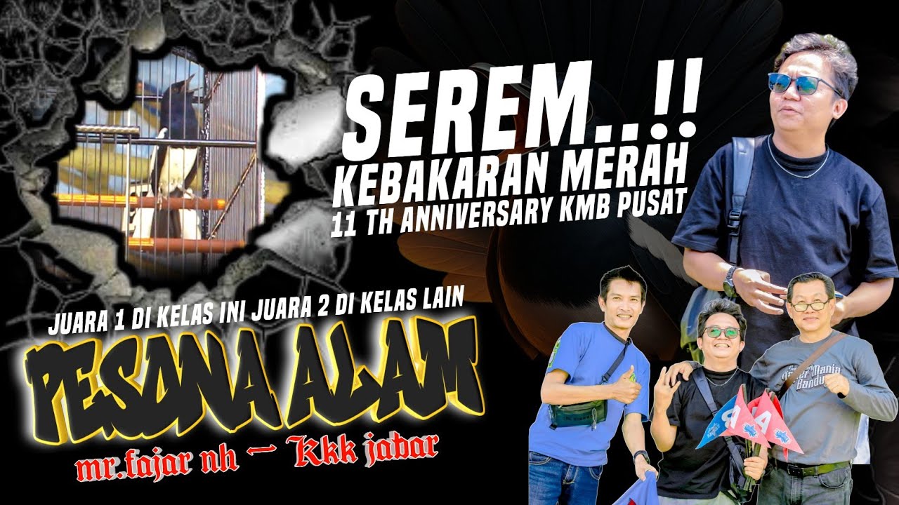 MENGGILA DI 11 TH ANNIVERSARY KM BANDUNG KACER PESONA ALAM NYARIS MUTLAK JUARA 1🔸MR.FAJAR KKK JABAR
