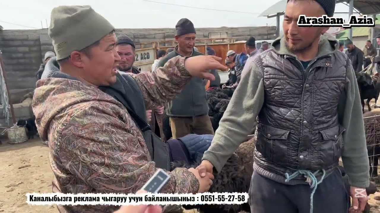 Кой базар 7-март Жалалабад Благовещенко Манас ш Мал базар