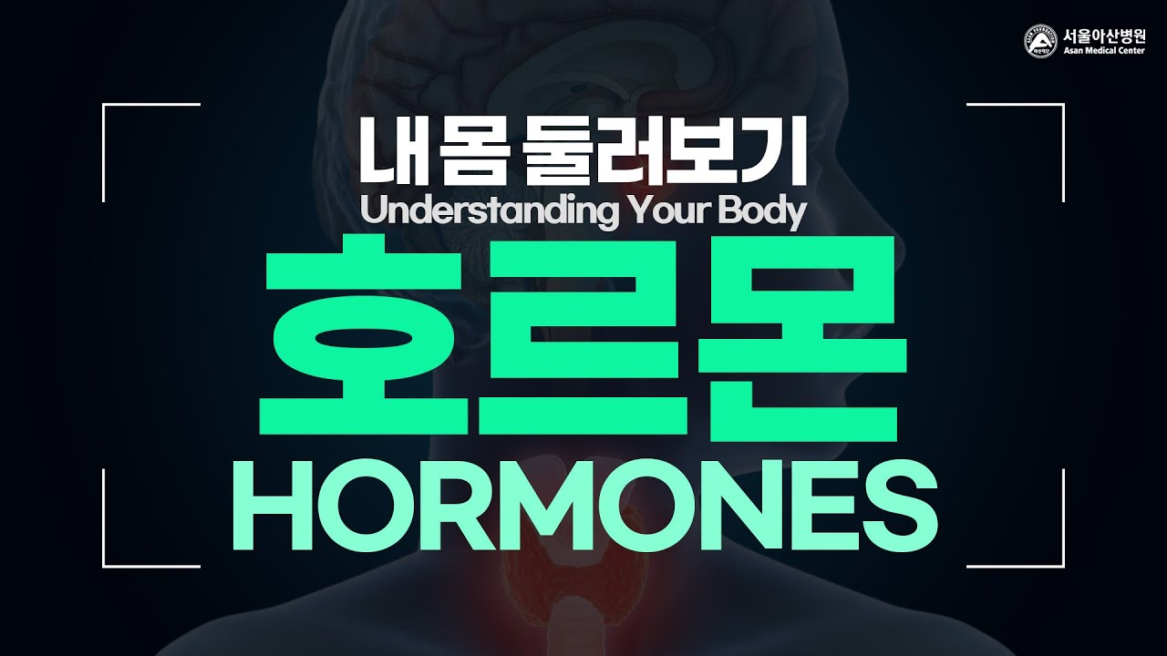 호르몬 [내 몸 둘러보기]