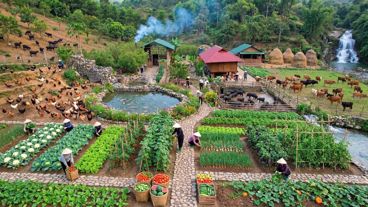 This Peaceful Farm Life Is TOO PERFECT&hellip; Harvesting, Cooking & Building Our Dream Homestead!
