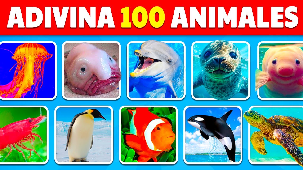 Adivina 100 animales del mar en 3 segundos 🐬🦁🐙 ¡De fácil a imposible!