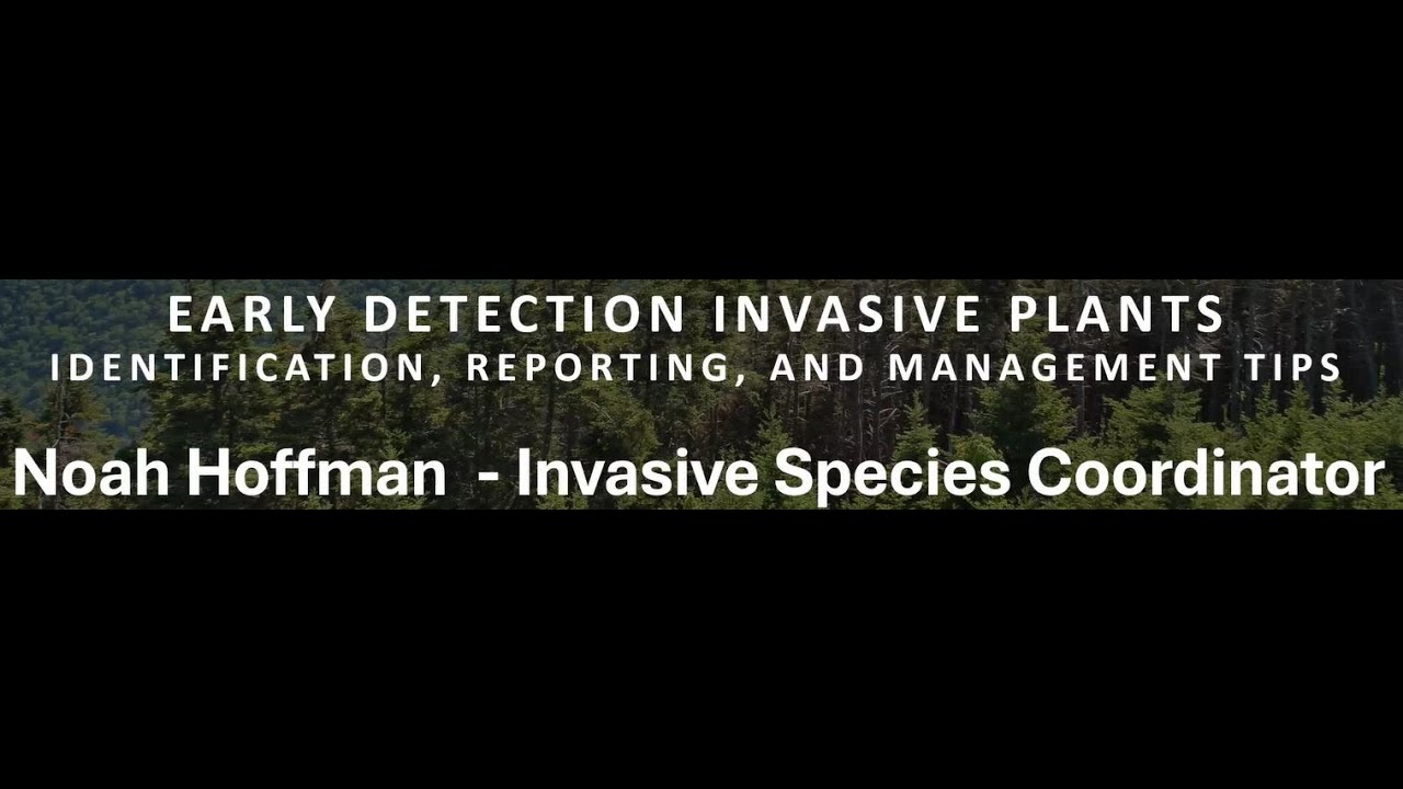 Early Detection of Invasive Plants