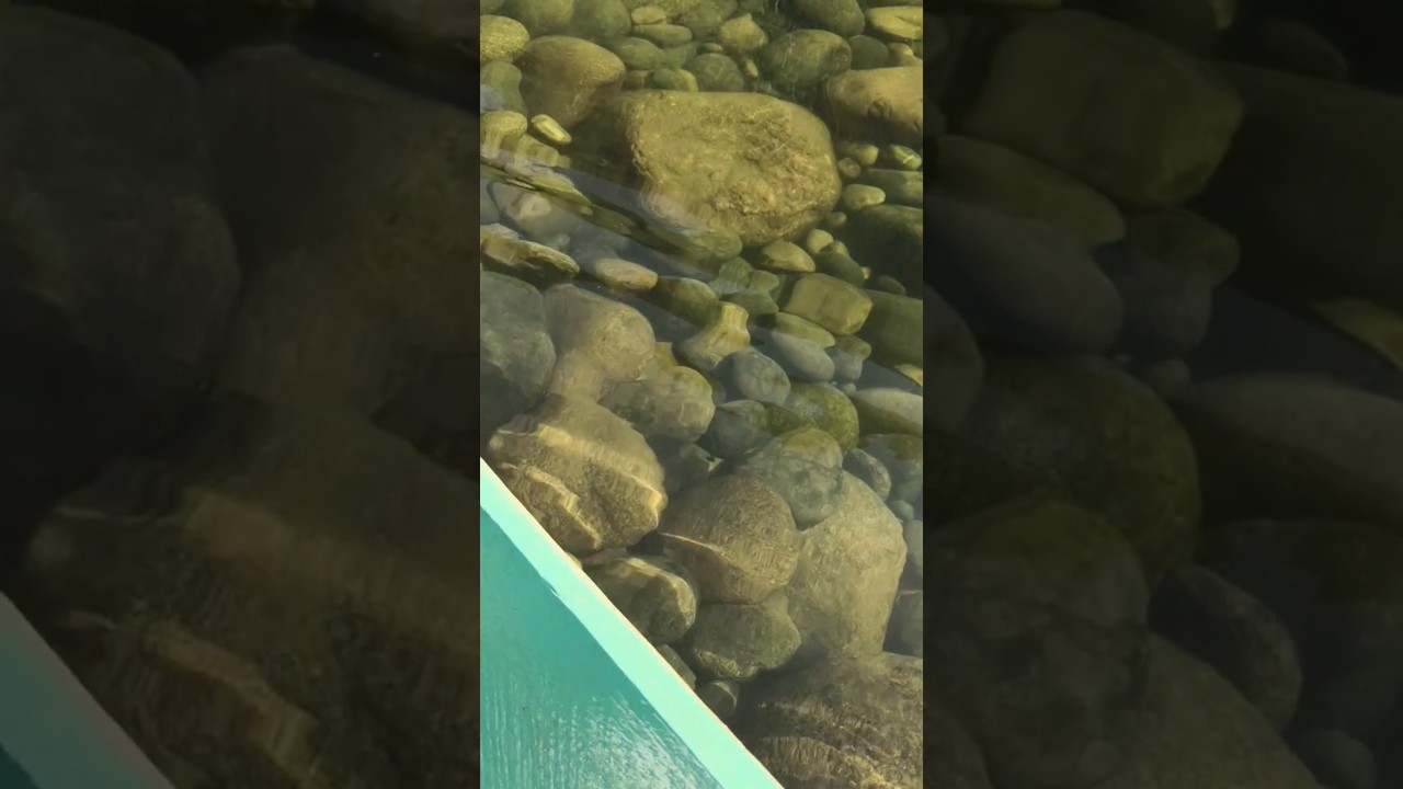 Floating on a glass surface, the magical waters of Umngot River,Dawki,Meghalaya 