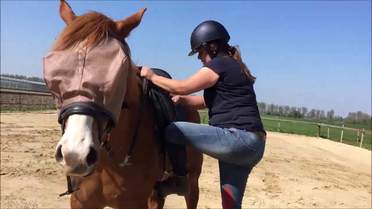 Hanky staat niet stil tijdens opstijgen! - Natural HorseMo