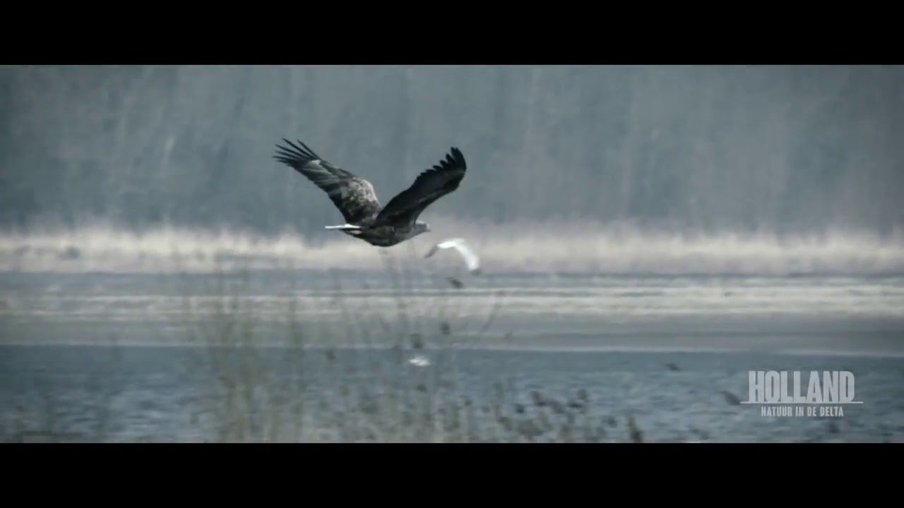 Voedsel voor de mens