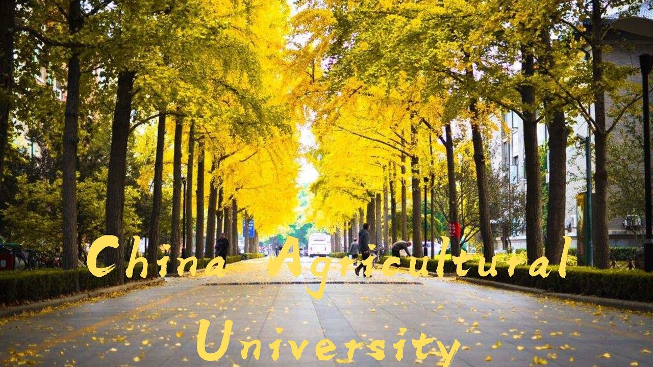 China Agricultural University  (Introduction) |中国农业大学