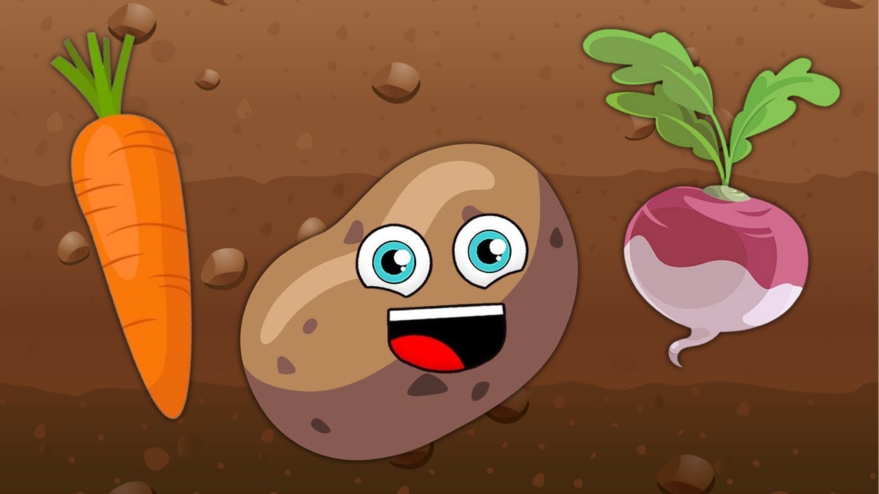 Learn ALL About Root Vegetables! | Songs For Kids | Orion