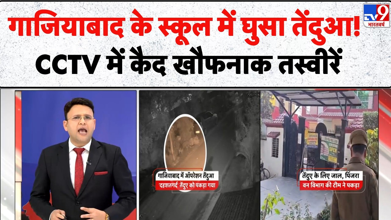 Ghaziabad School Leopard Viral Video: Green Field के स्कूल में घुसा तेंदुआ CCTV में कैद खौफनाक -TV9