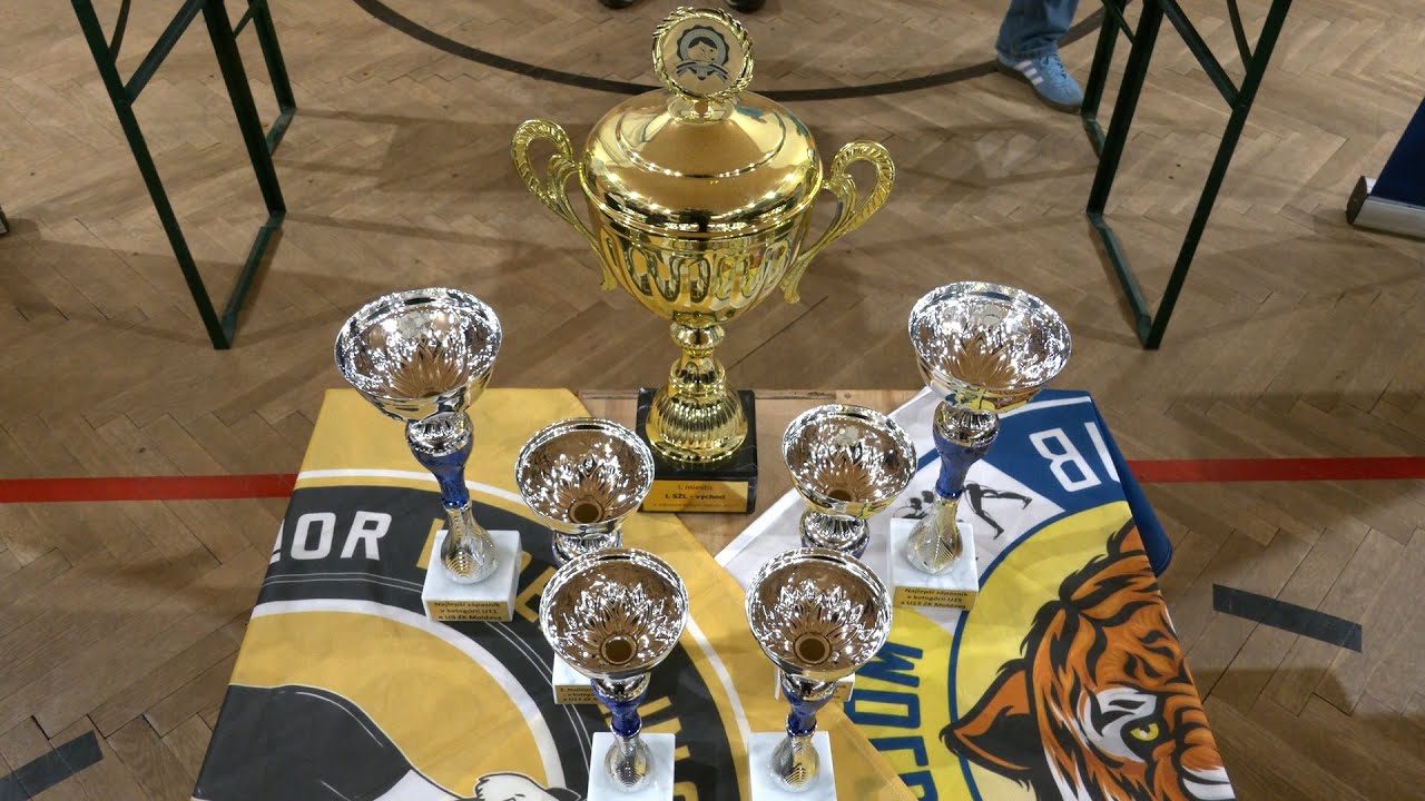 Zápasnícky klubu z Moldavy má za sebou úspešný rok