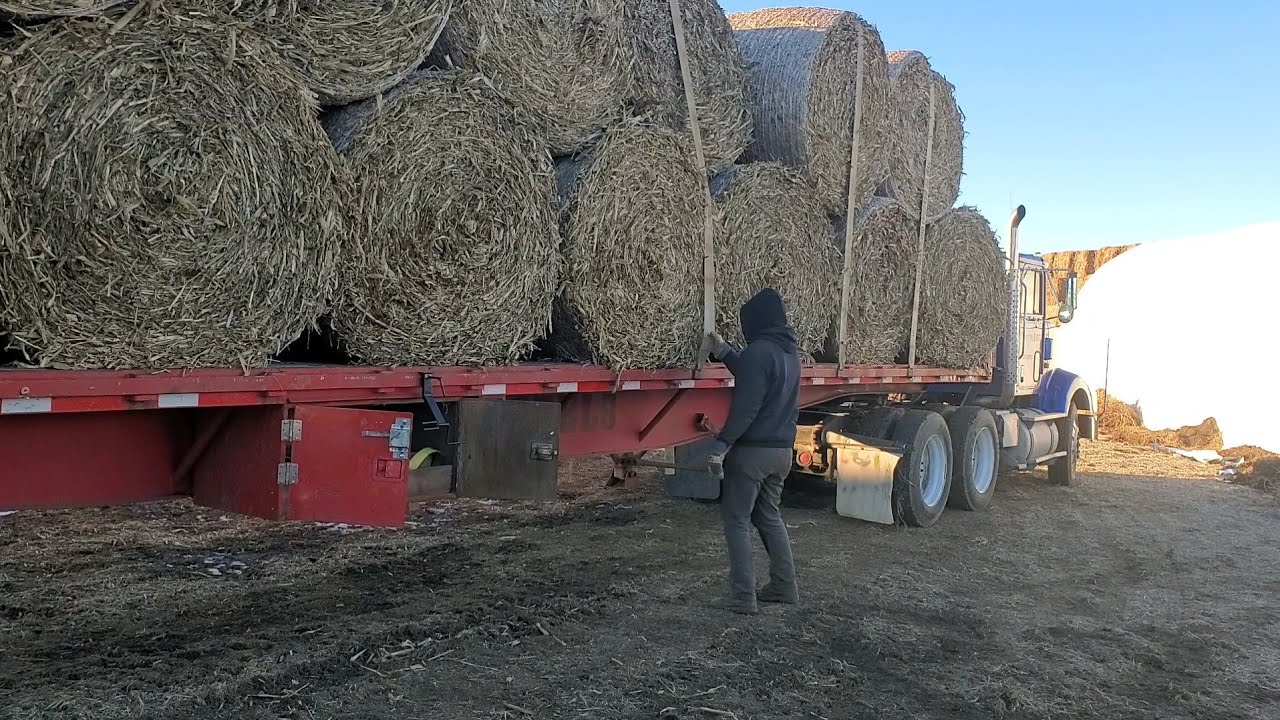 Hauling Round Bales/ Bale Yard Tour