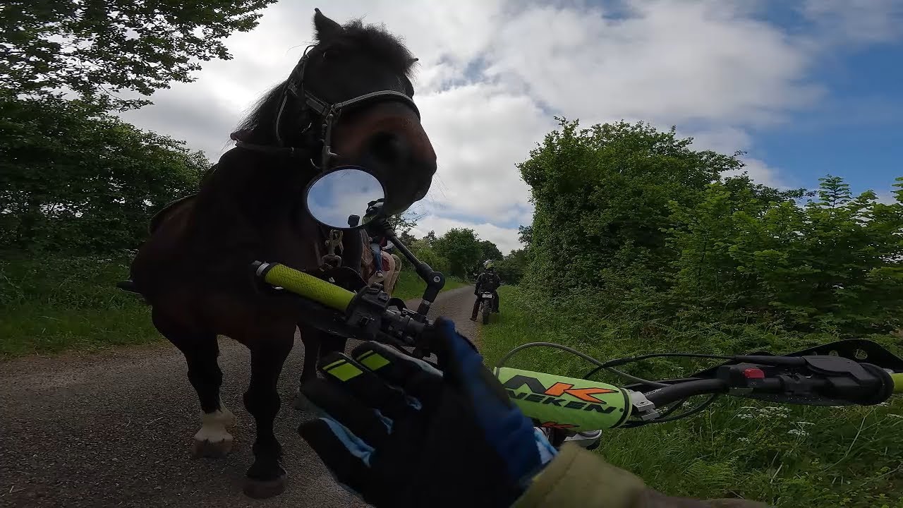 AJP 240 SPR - SHERCO 125 TY Belle rencontre pendant la balade !