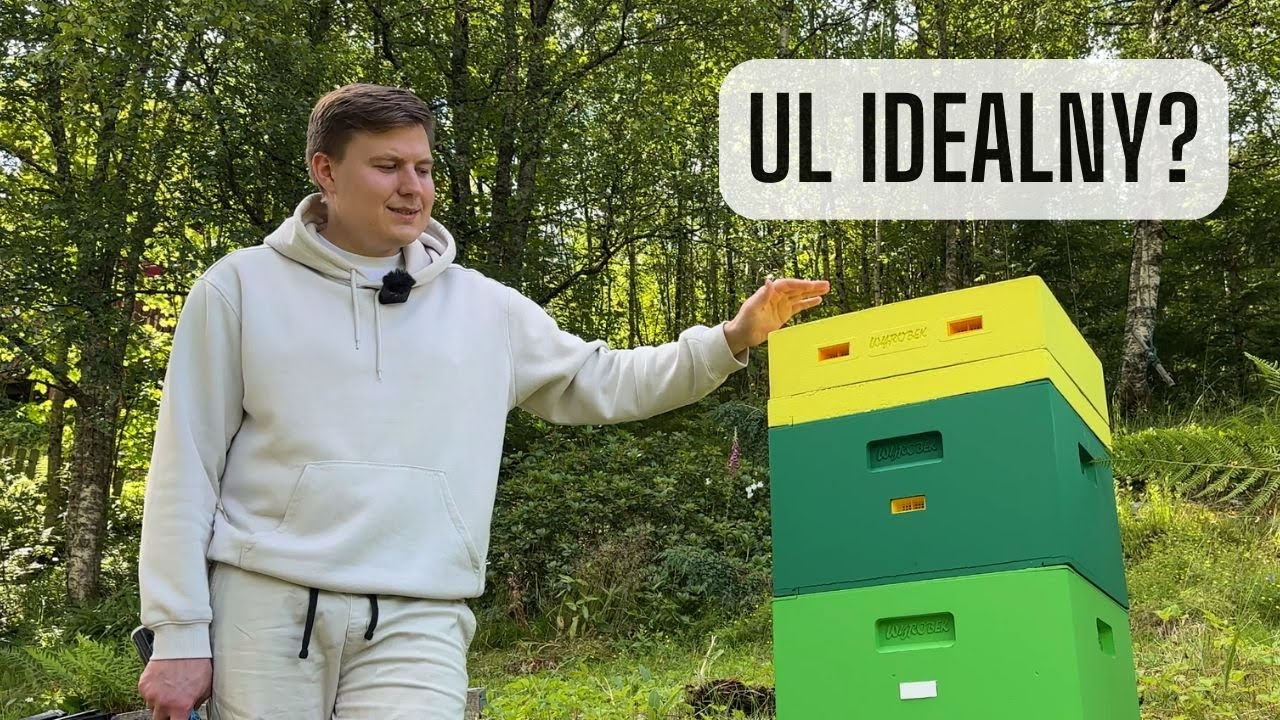 Które ule odpadły, a który został? Moje wnioski po latach