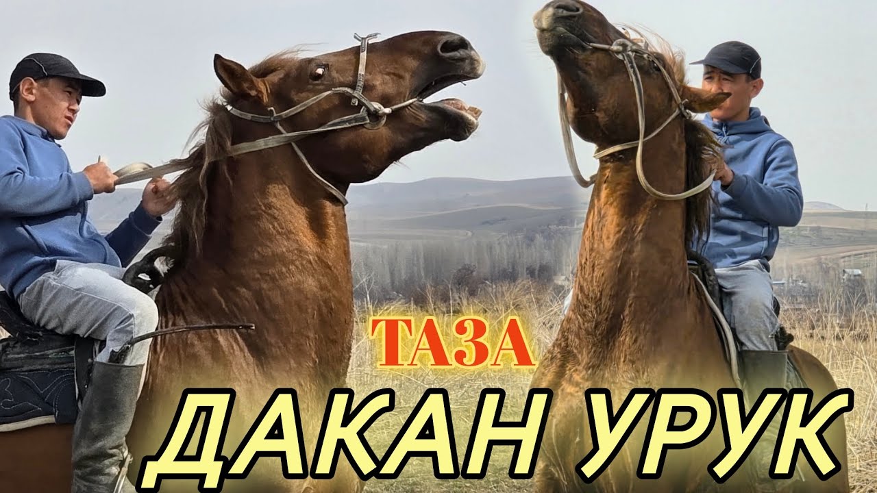 ДАКАН ЛИНИЯ Закадан