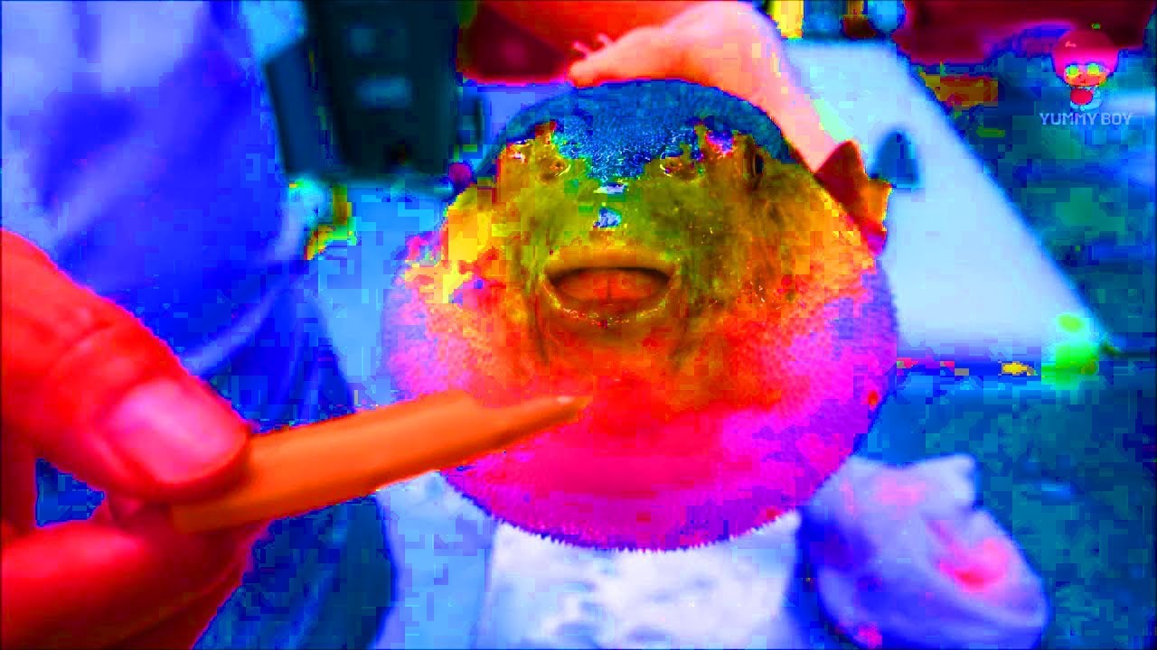 Fish Eating Carrot Meme Compilation