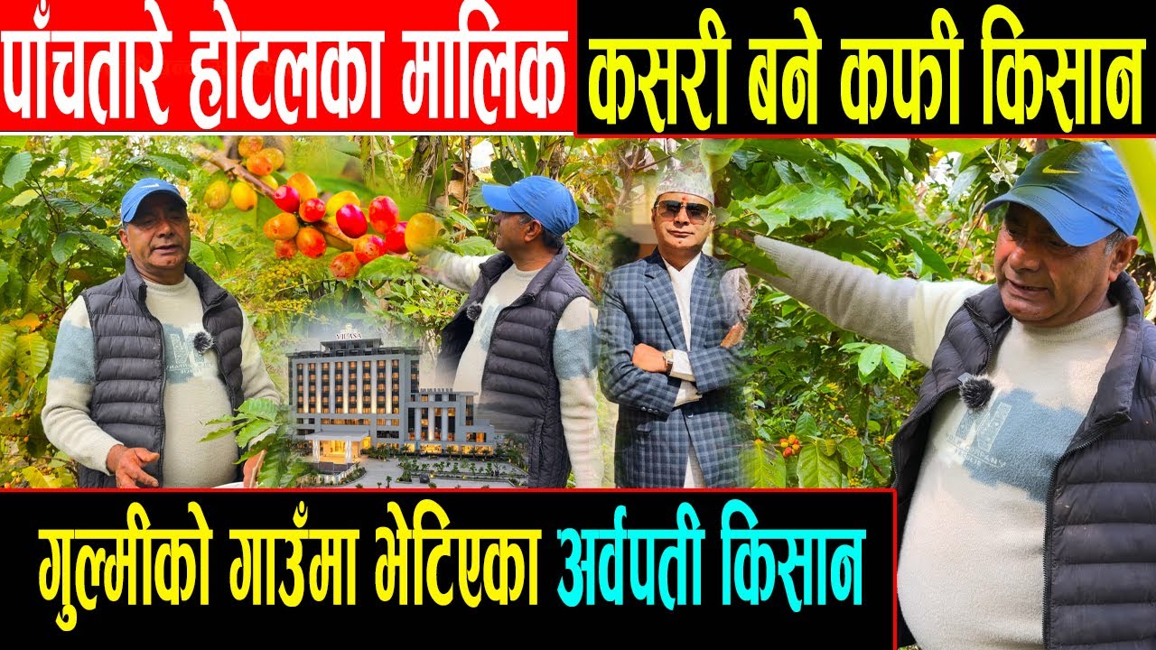 ओहो ! पाँचतारे होटलको साहु कसरी भए कफी किसान ? अचम्मको यो कथा हेर्नुहोस Coffee Farming